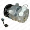 DELPHI TSP0155095 Compressor, air conditioning